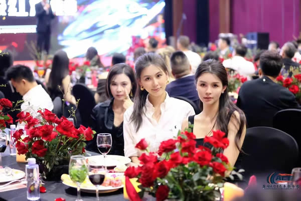 巅峰ACE新闻发布会现场